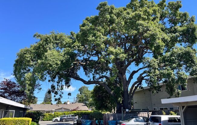 SleepMode 330 Ventura, LLC