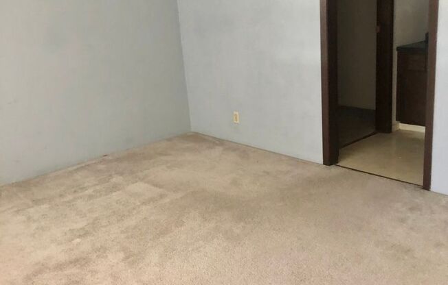 1 bed, 1.5 baths, $800