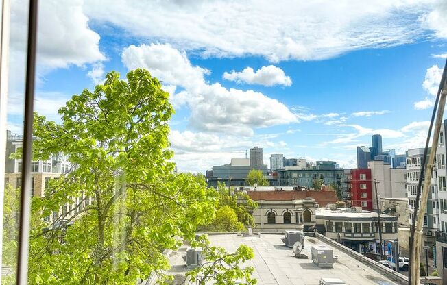 1 bed, 1 bath, 410 sqft, $1,895, Unit 402