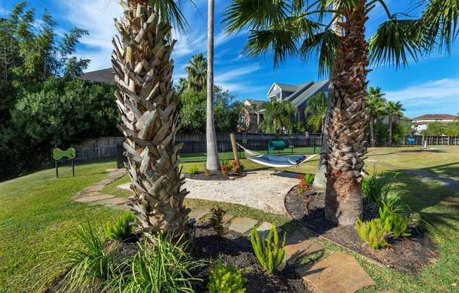 a backyard with palm trees and a hammock