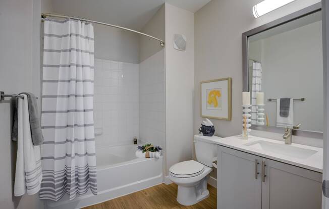 Platinum Master Bath Lunaire Apartments | Goodyear, Arizona