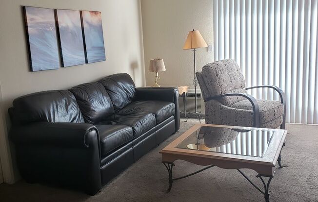 Great Roommate Opportunity near SDSU!