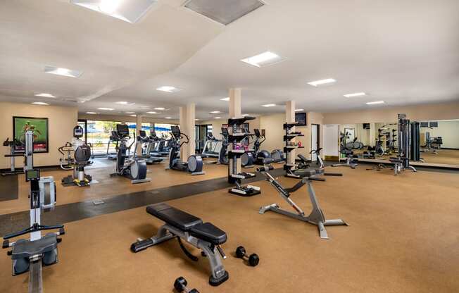 a gym with cardio equipment and weights on the floor