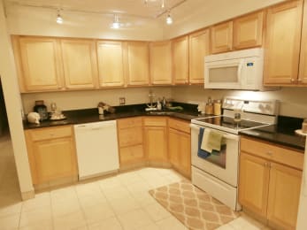 2 beds, 1 bath, 950 sqft, $2,362