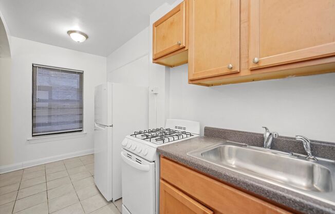Studio, 1 bath, 381 sqft, $1,095, Unit 206