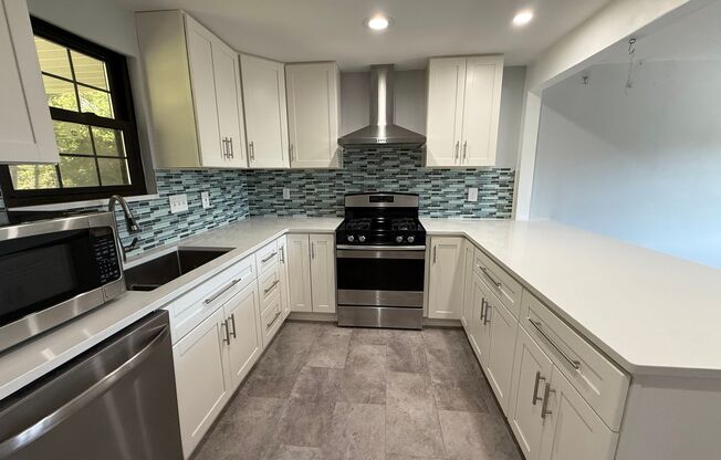 Luxury 3-Bedroom, 1-Bathroom House in Brookline!