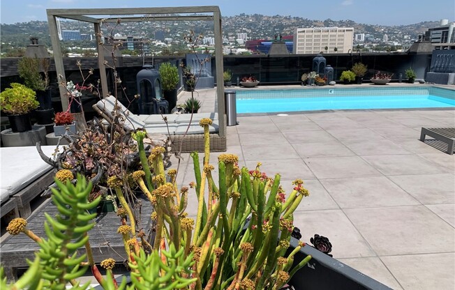 Studio, 1 bath, 600 sqft, $2,895, Unit 216