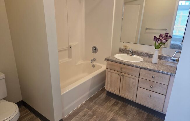 1 bed, 1 bath, 482 sqft, $1,580, Unit 506