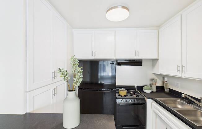 A white vase with flowers sits on a kitchen counter.