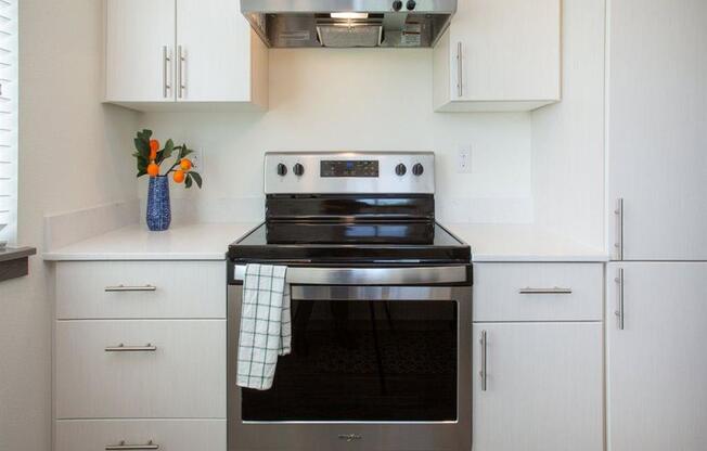 light finishes with stainless appliances