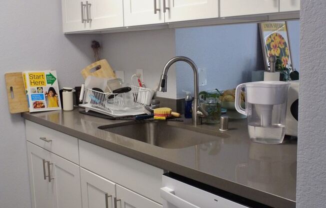 1 bed, 1 bath, 475 sqft, $1,850, Unit 203