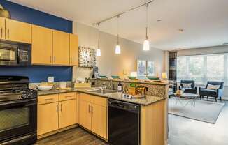 our apartments offer a modern kitchen with granite countertops and stainless steel appliances
