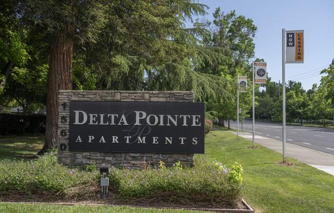 Delta Pointe