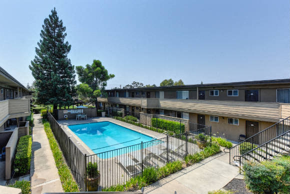 Outdoor Swimming Pool and Lounge Area, Trees, Bushes and Apartment Exteriors