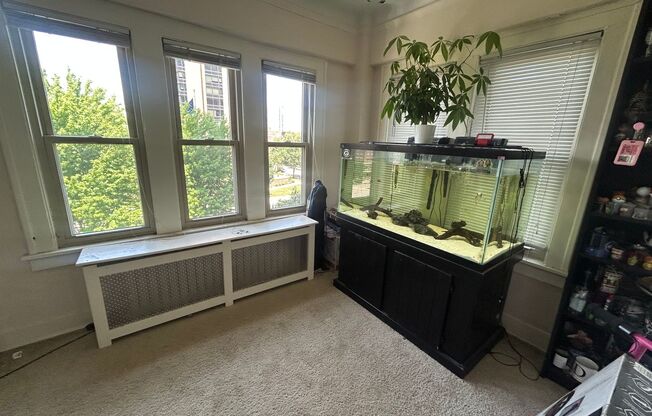 1 bed, 1 bath, $1,225, Unit 51