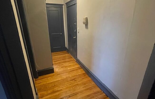 Studio, 1 bath, $1,095, Unit 12 Mattoon St Unit 8