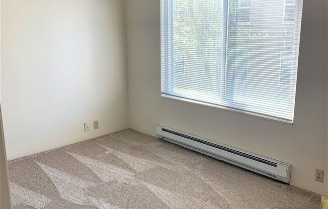 1 bed, 1 bath, $1,500, Unit 203