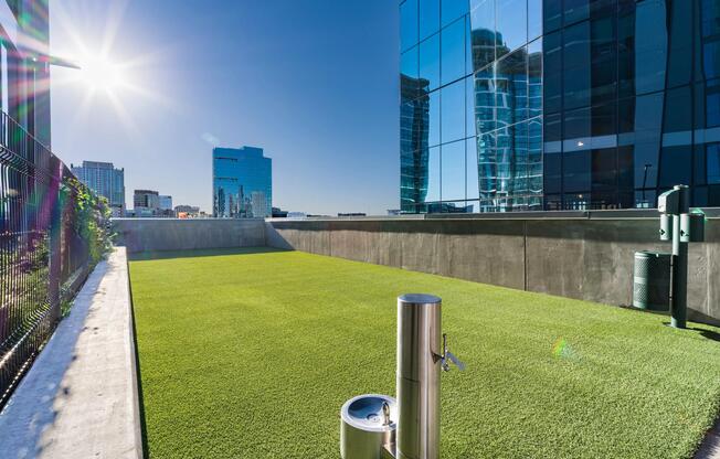 An on-site pet lawn at Modera McGavock, offering a dedicated outdoor space designed for daily walks, playtime, and easy pet care.