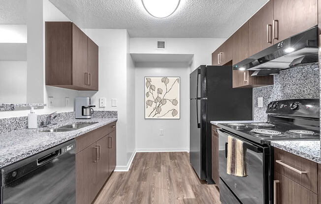 A kitchen with black appliances and wooden cabinets.