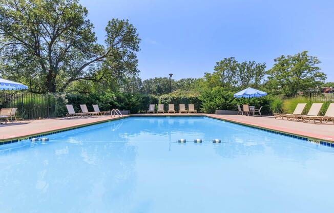 A serene swimming pool surrounded by lounge chairs and umbrellas. The clear blue water reflects the blue sky, with trees lining the background for a tranquil atmosphere. The setting is ideal for relaxation and leisure.