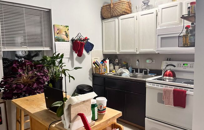 Sheridan Park / Uptown - 2 Bed / 1 Bath