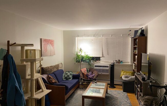 1 bed, 1 bath, $2,025, Unit 450