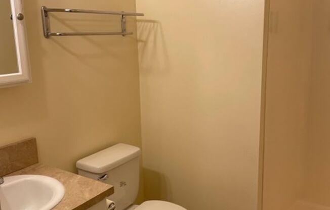 1 bed, 1 bath, 390 sqft, $1,155, Unit 309