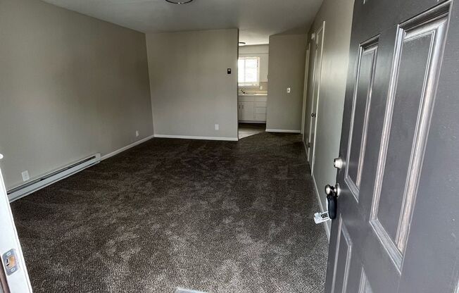 1 bed, 1 bath, 599 sqft, $1,060