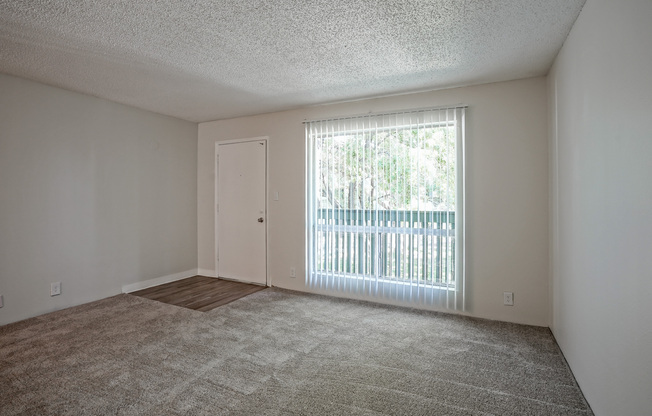 Carpeted apartment living room and front entrance at Treehouse Apartments in Albuquerque, New Mexico