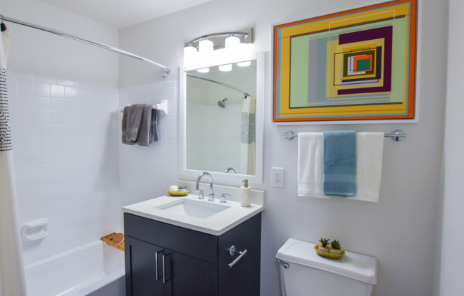 Ask About Our Brand New Renovated Apartments!