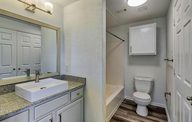 a bathroom with a sink toilet and bathtub