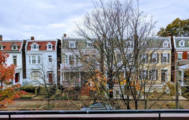 1 bed, 1 bath, $1,150, Unit Apt. 11