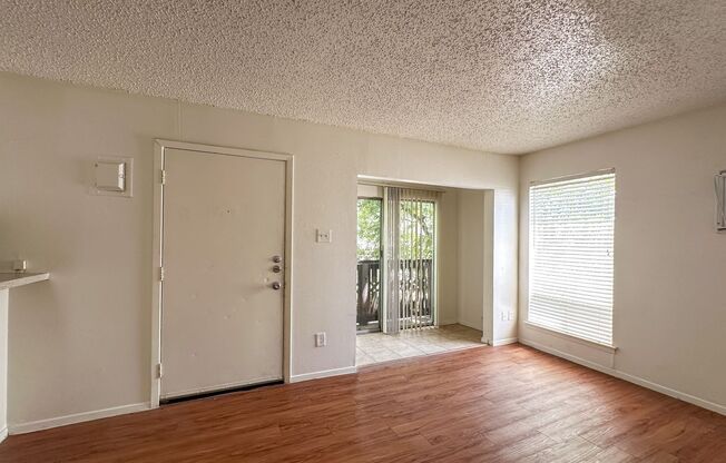 1 bed, 1 bath, 450 sqft, $1,250, Unit Unit 204