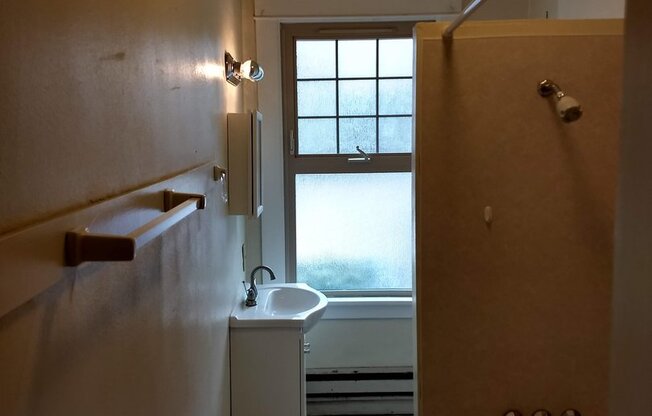 Studio, 1 bath, 455 sqft, $1,200, Unit 101