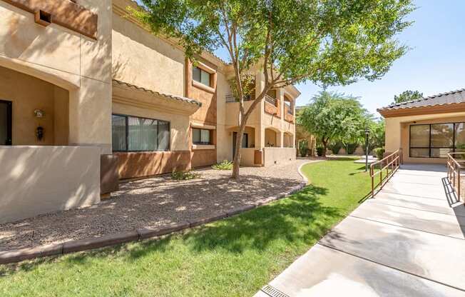 A sunny day at a residential complex with apartment buildings and a tree.