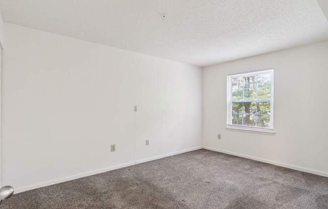 A room with a carpeted floor and a window showing a view of trees outside.