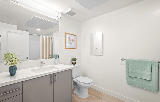 2 beds, 1 bath, 1,005 sqft, $3,645, Unit 502