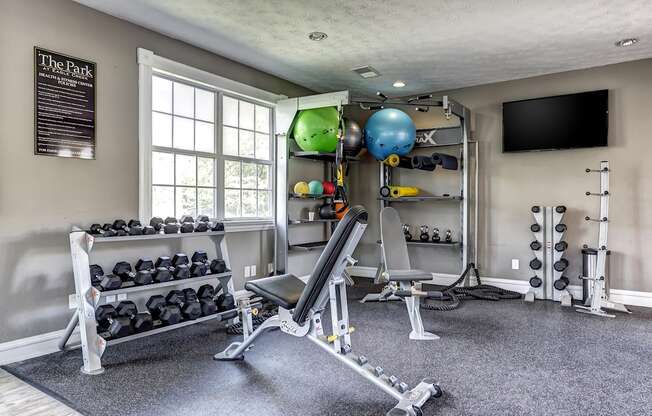 Fitness center with free weights and exercise balls