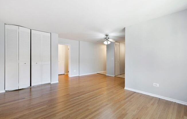 Studio, 1 bath, 475 sqft, $1,500, Unit 406