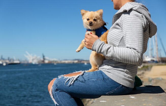 woman on the bay holding Pomeranian