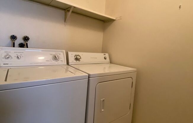 1 bed, 1 bath, $1,250