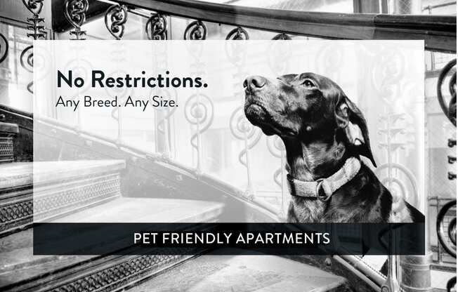 Como Lake Estates pet friendly