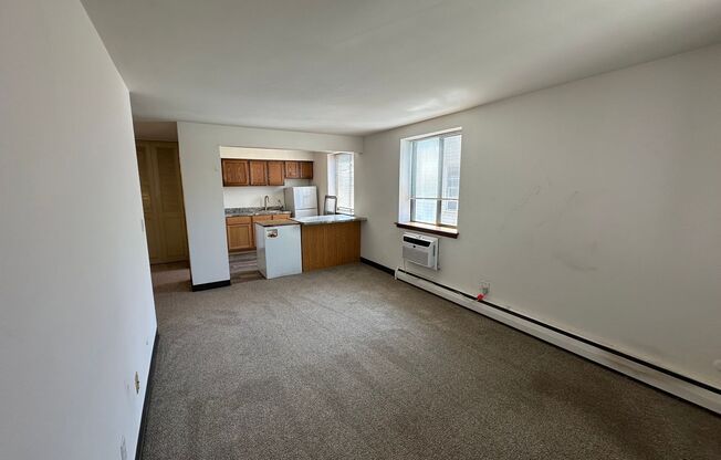 1 bed, 1 bath, $1,095, Unit 209
