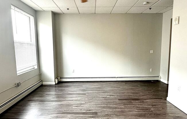 Studio, 1 bath, 255 sqft, $1,450, Unit 319