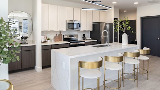 Luxury Kitchen at 220 Meridian, Indianapolis, IN 46204