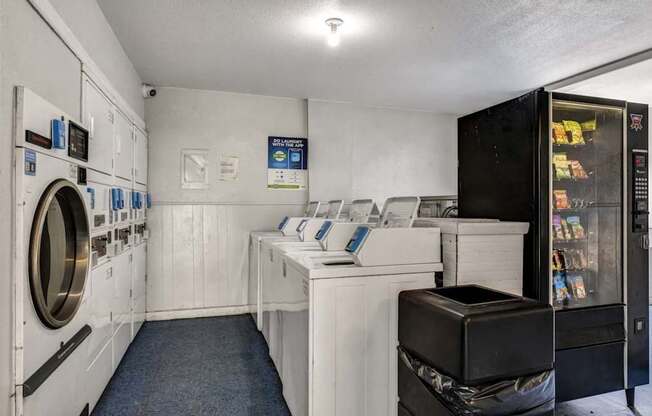 Laundry Room at Viva Max, San Antonio