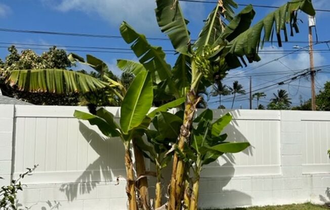 Available on 12/16/25, spacious 1570 sq ft, 3 Bedrooms, 2 Baths, 2 Car Garage Single-Family Home in Kailua