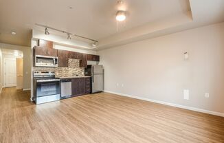 Studio, 1 bath, 490 sqft, $1,100, Unit 207