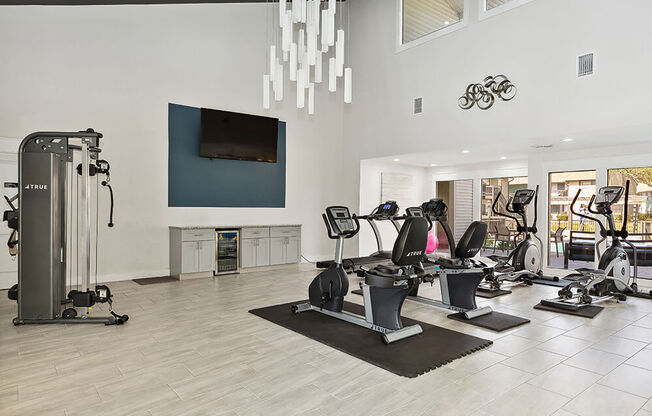 Community Fitness Center with Equipment at Seven Lakes at Carrollwood Apartments in Tampa, FL.