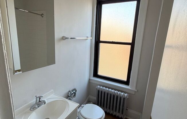 Studio, 1 bath, 300 sqft, $1,095, Unit 401
